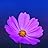 Avatar de cliente de Amazon